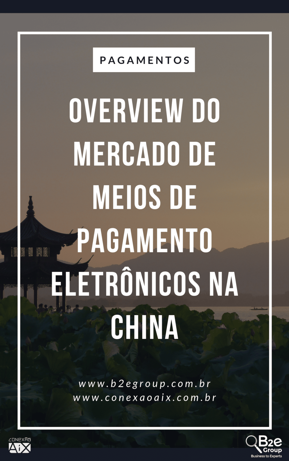 E-book l Overview do mercado de meios de pagamento eletrônicos na China l Conexão AIX